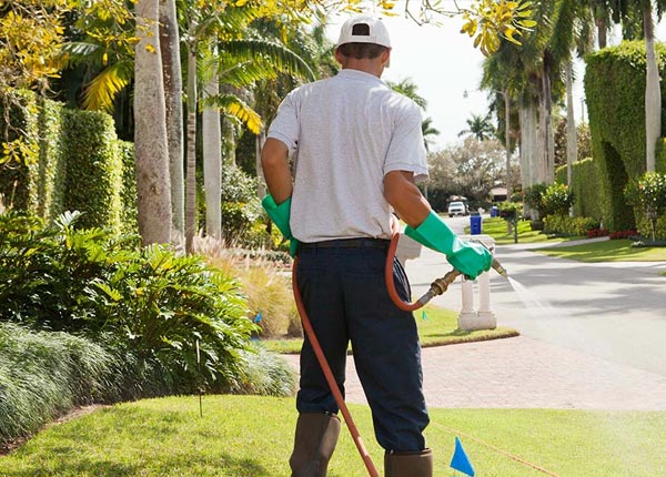 About Haddam KS Pest Control